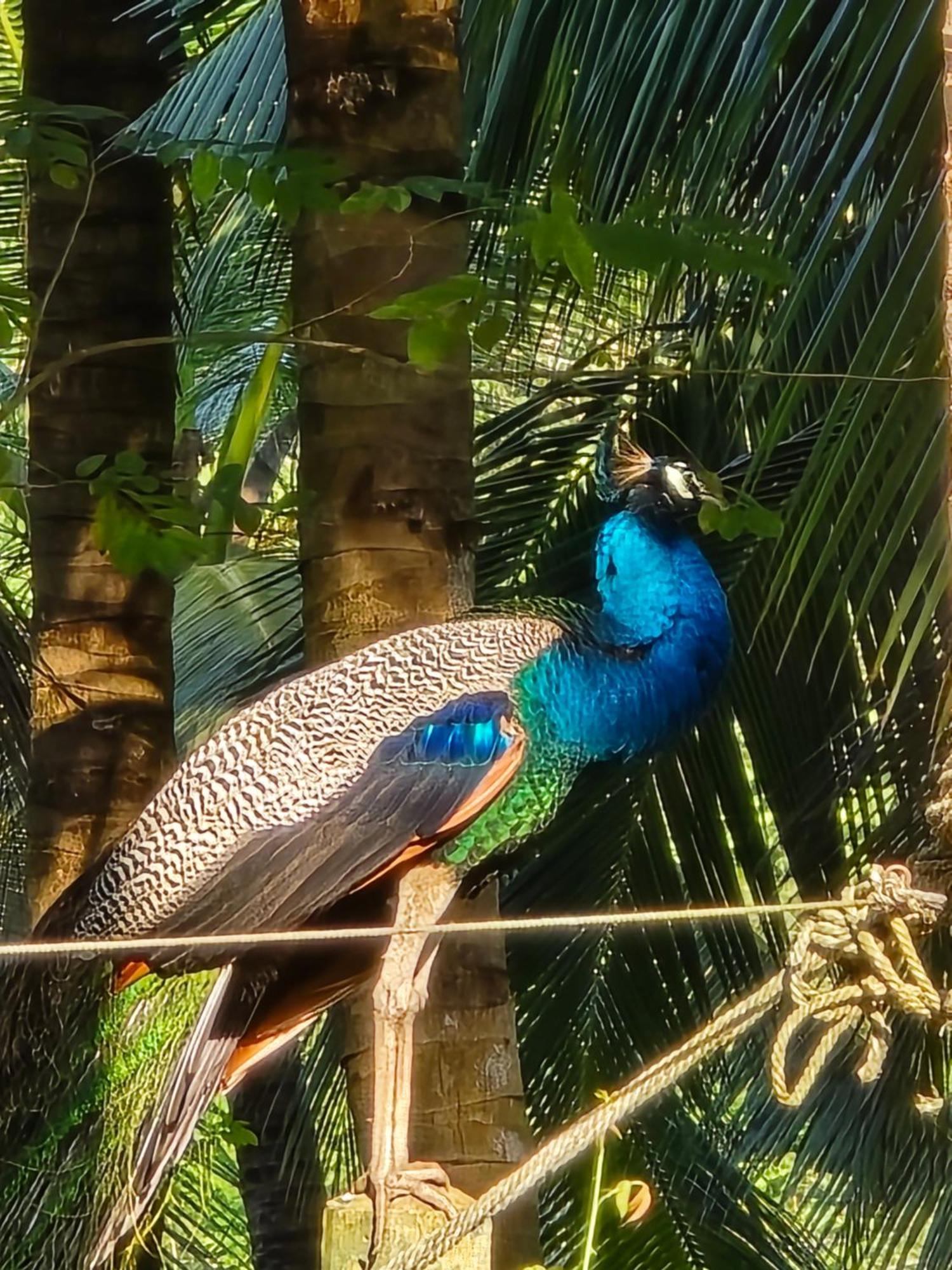 Nima Villa Tangalle Buitenkant foto